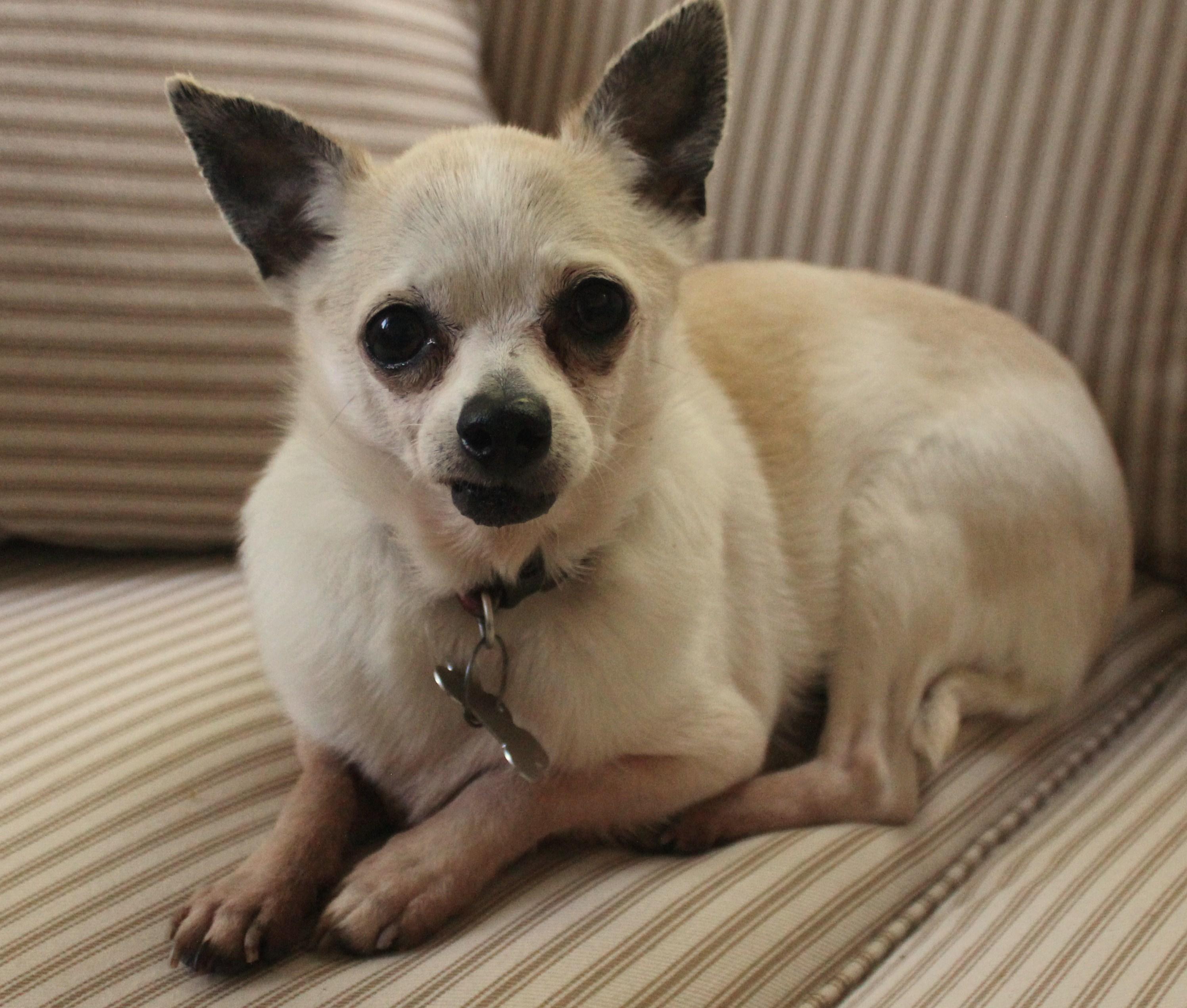 Cami (Jul 10 2018).JPG