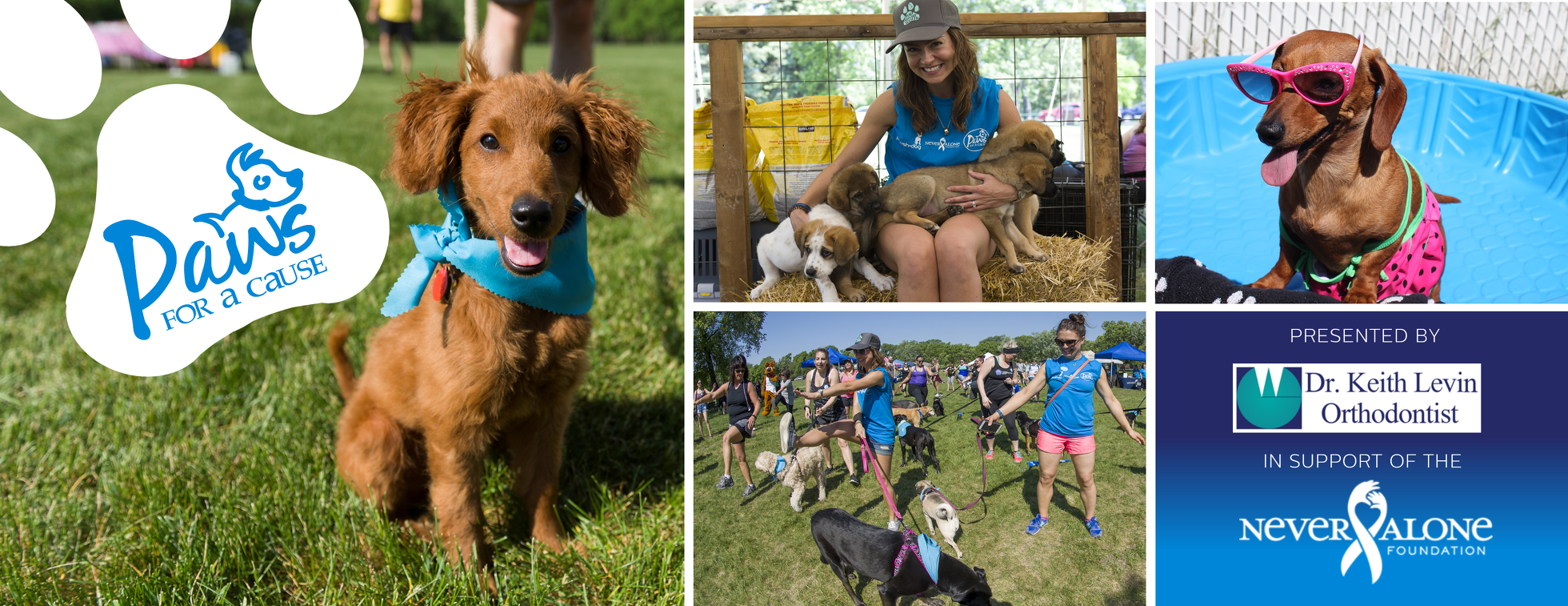 Paws for a Cause 2020